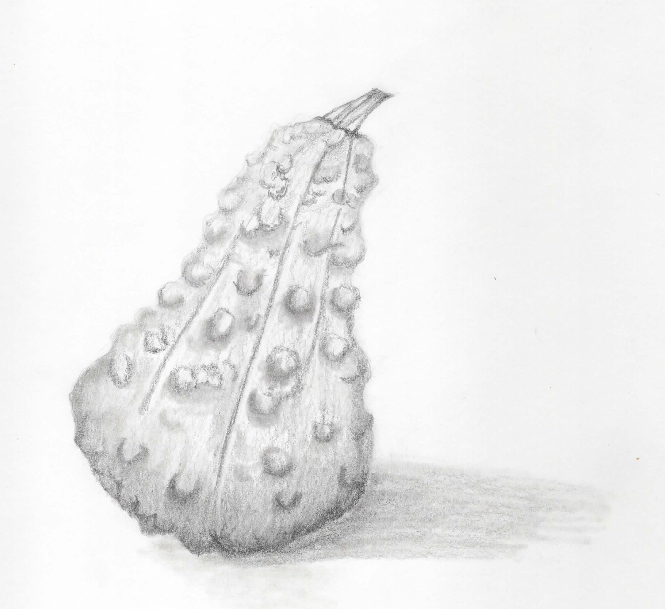 Zierkürbis